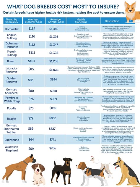 pet insurance for 12 year old dog.